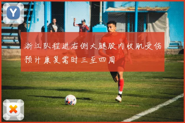浙江队程进右侧大腿股内收肌受伤预计康复需时三至四周